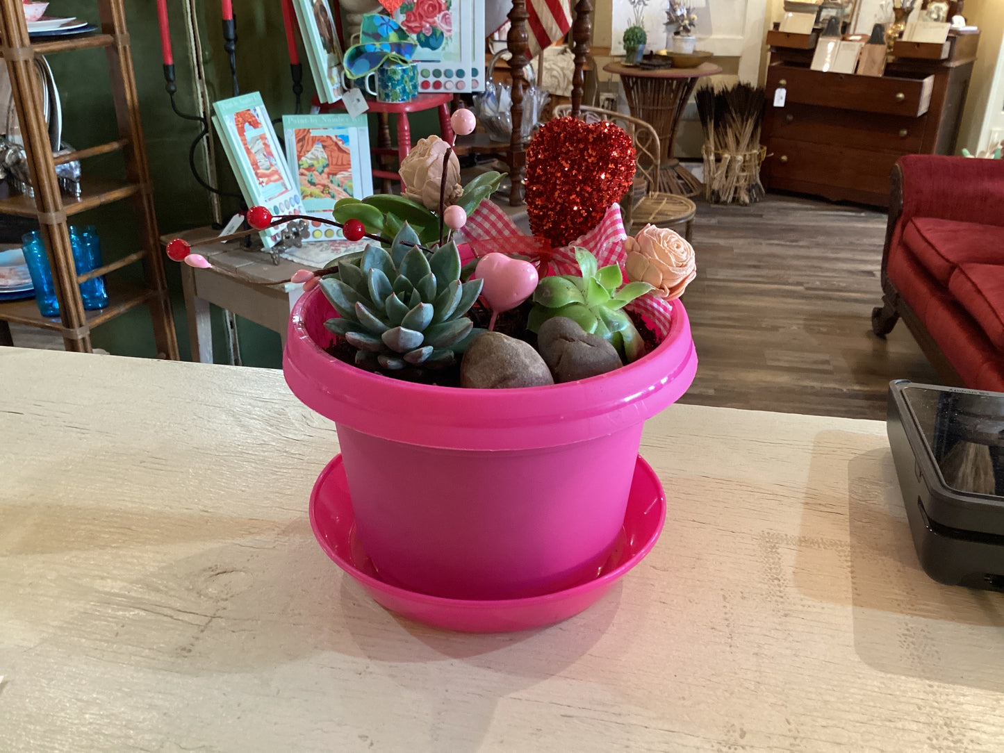 Valentine’s Succulent Bar