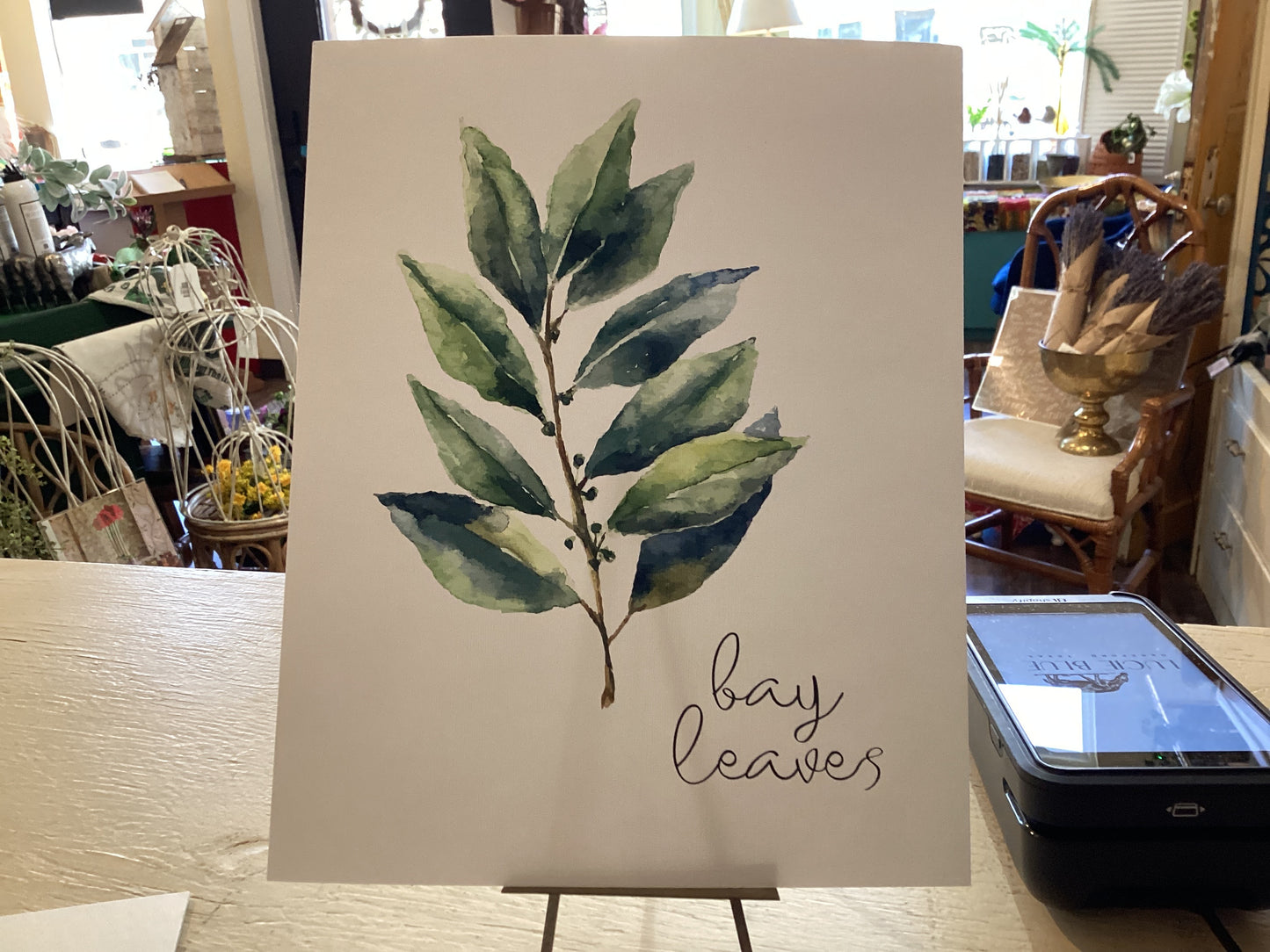 Bay Leaves Watercolor Print