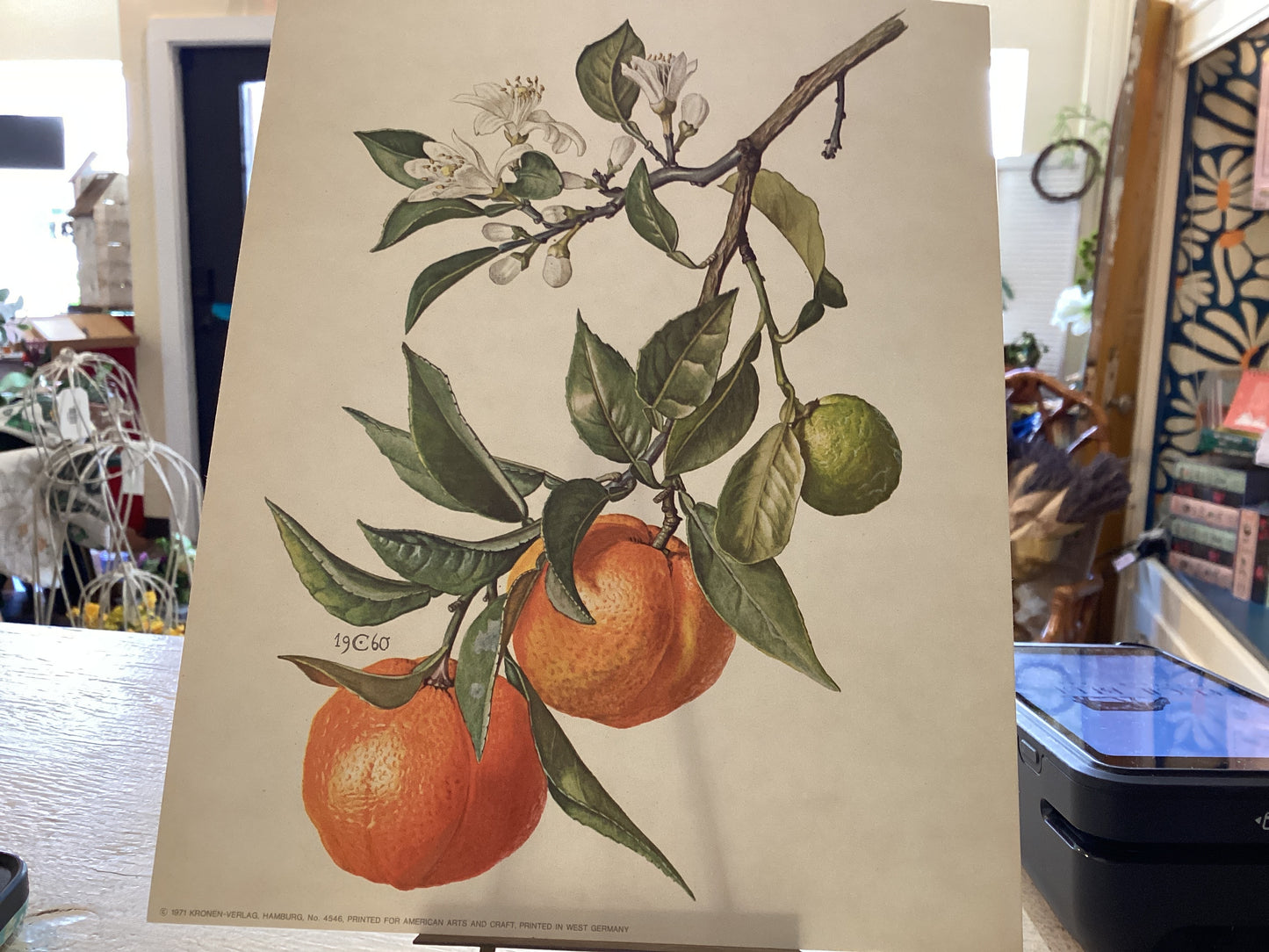 Vintage (1971) Peaches Print Original 1960