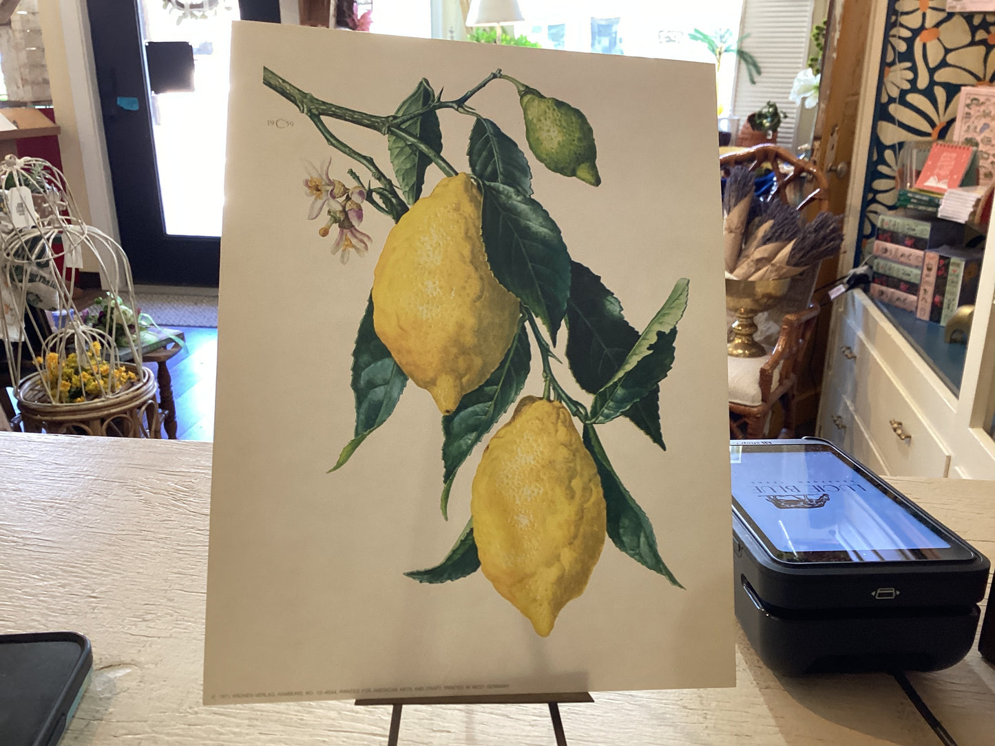 Vintage (1971) Lemons Print Original 1959