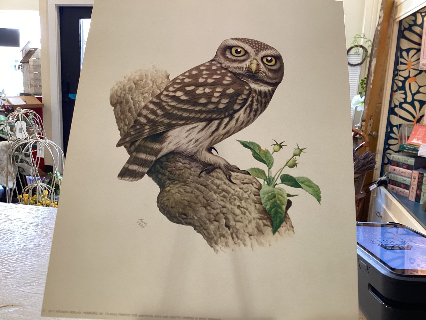 Vintage (1971) Owl Print Original 1958