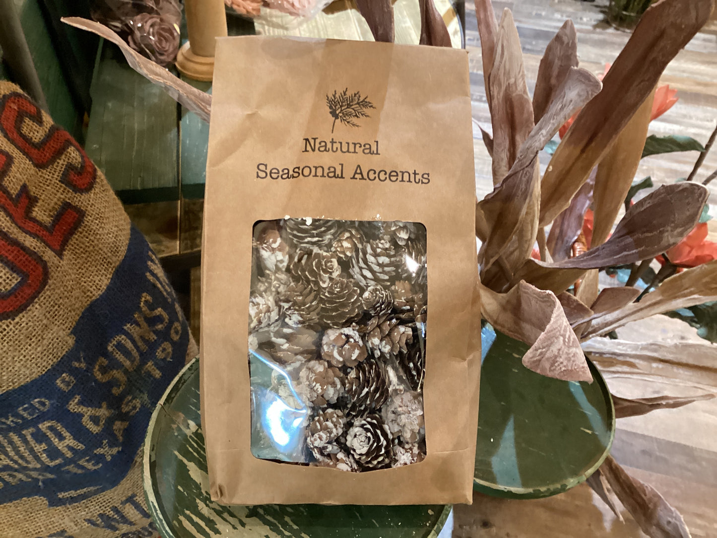 Dried Pinecones