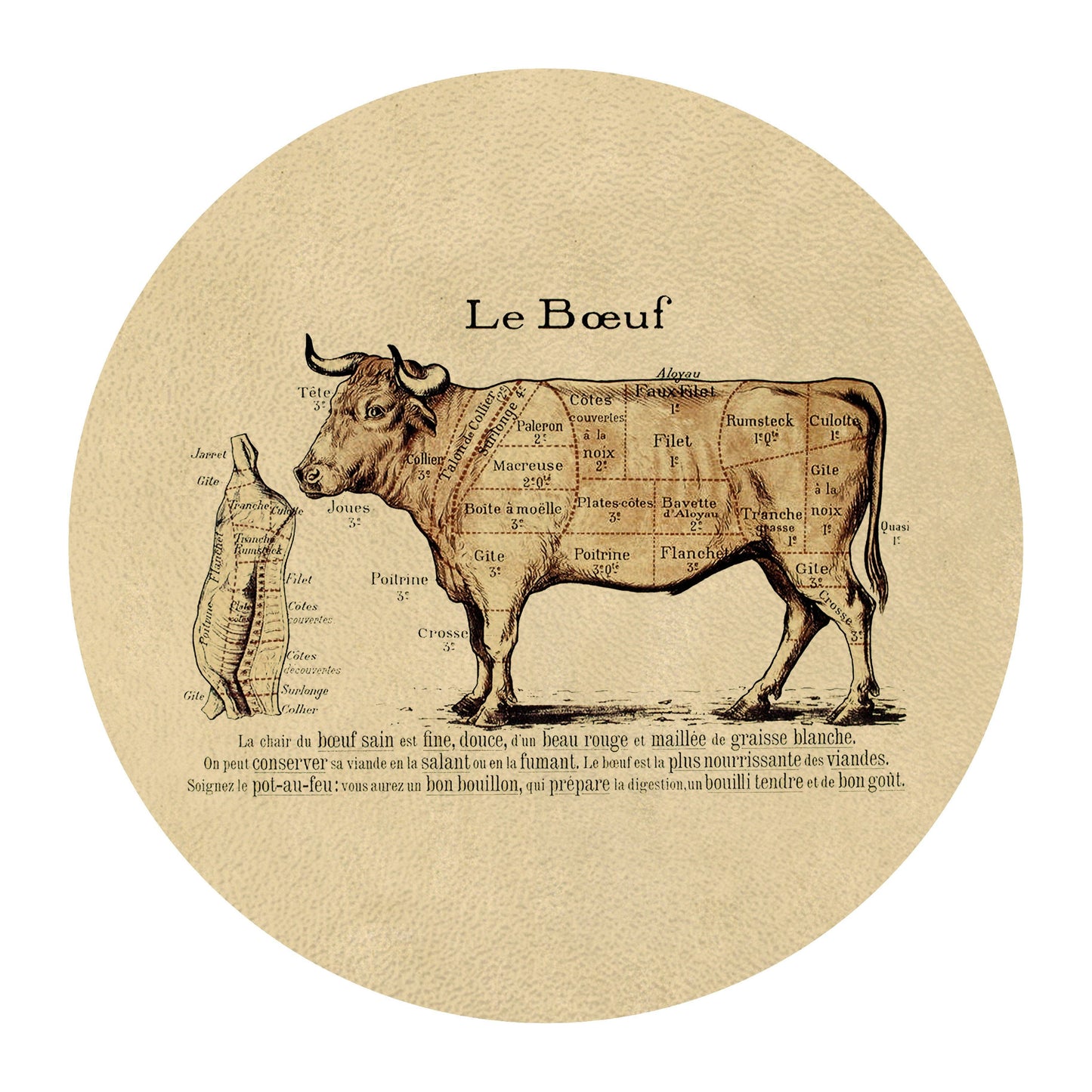 GB8537- Le Boeuf Beef Cuts Glass Cutting Board: Small Rectangular 8" by 11"