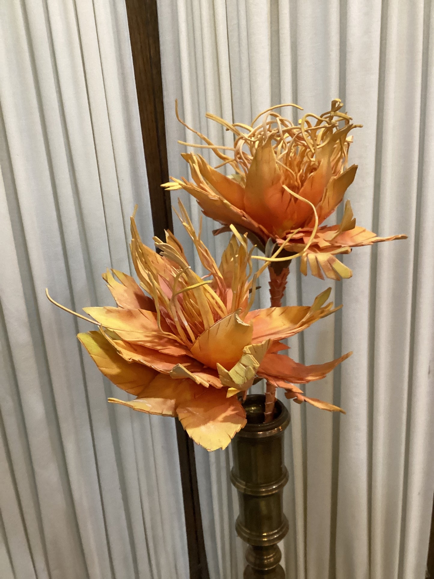 Botanica #2781