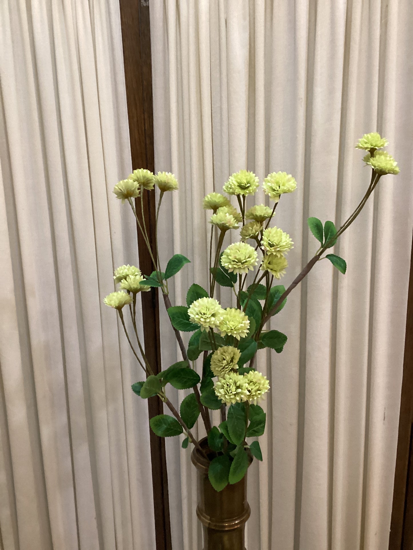 Botanica #3474