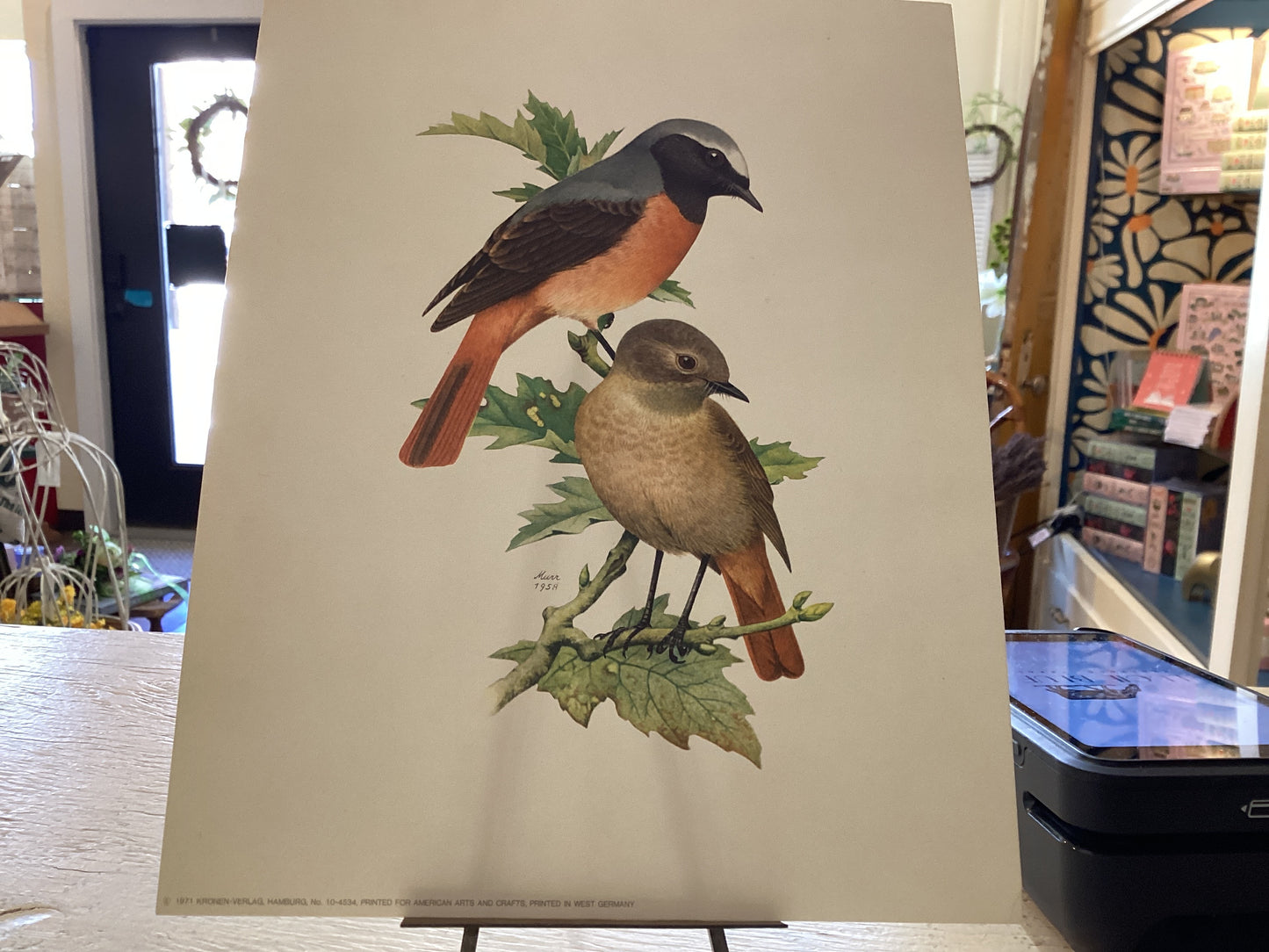 Vintage (1971) Birds Print Original 1958
