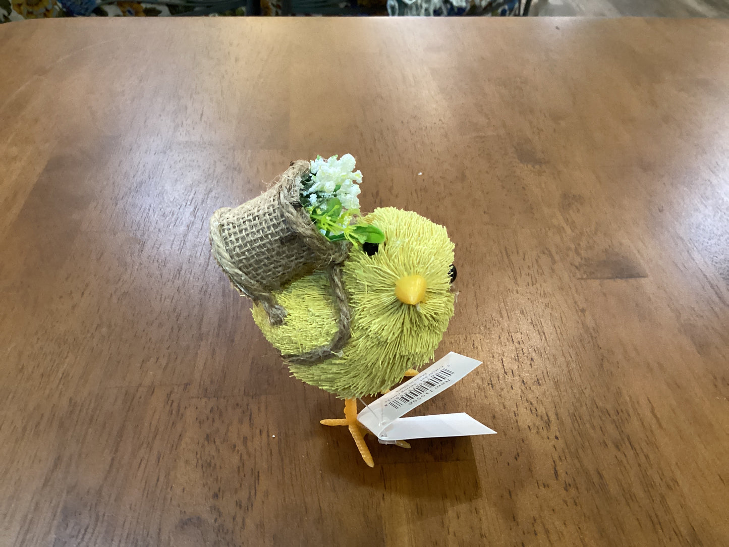 Spring Chicks