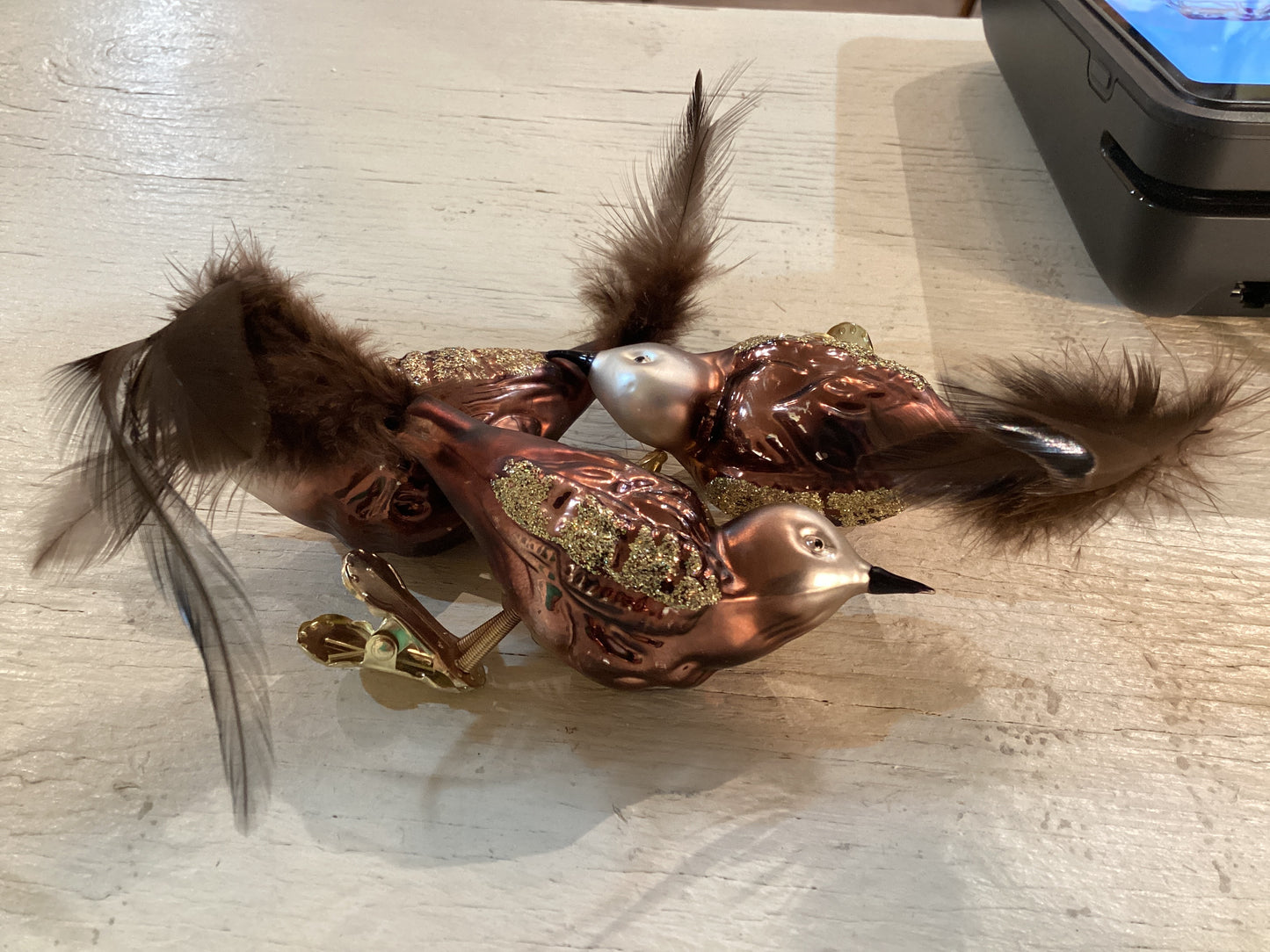 Brown Feather Bird