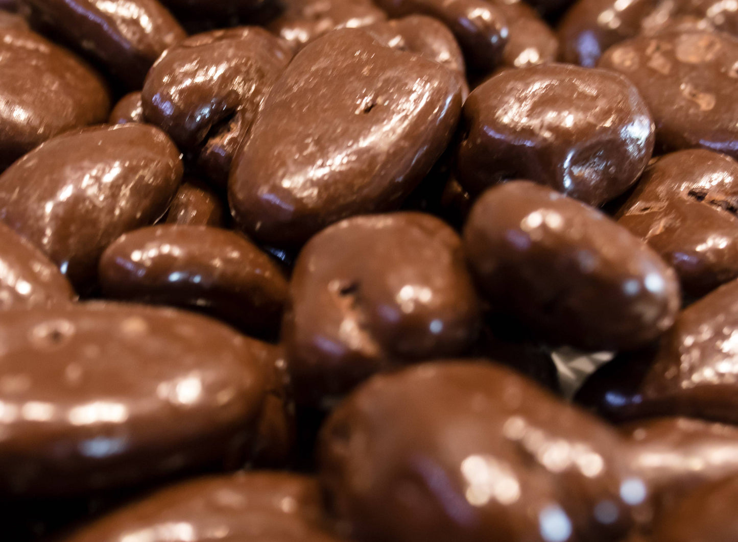 Sugar Free Chocolate Pecans - 8 oz Decorative Bag
