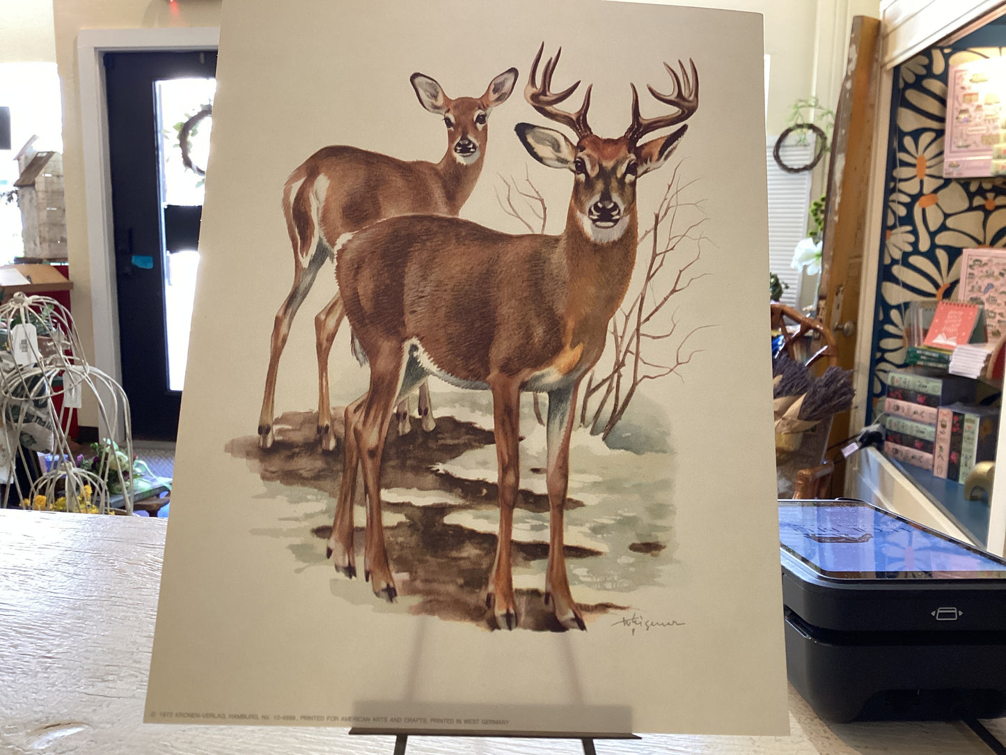 Vintage (1972) Deer Print