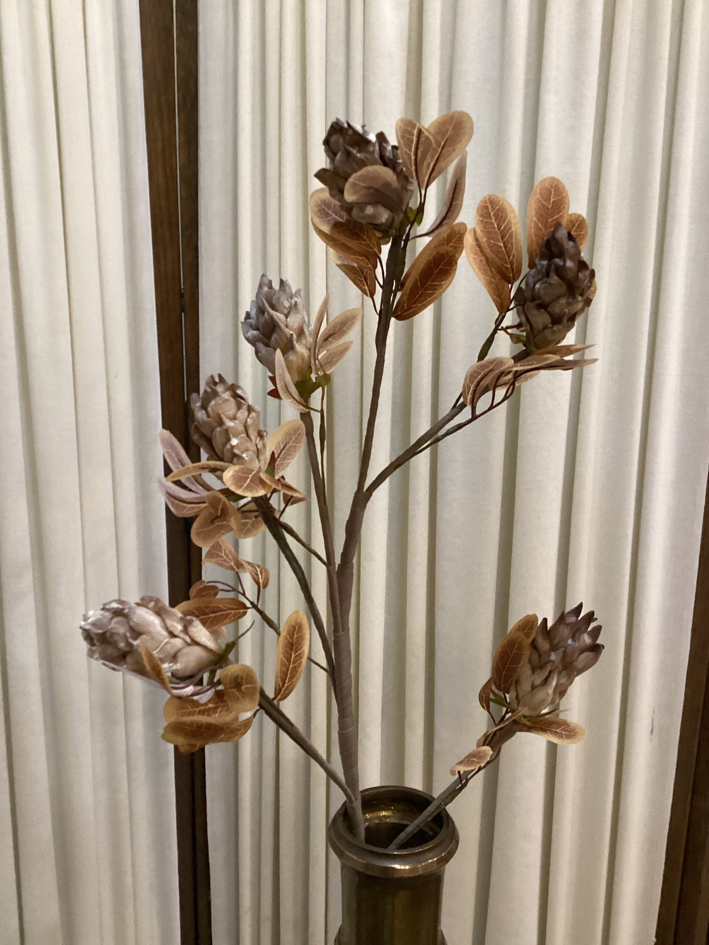 Botanica #3504