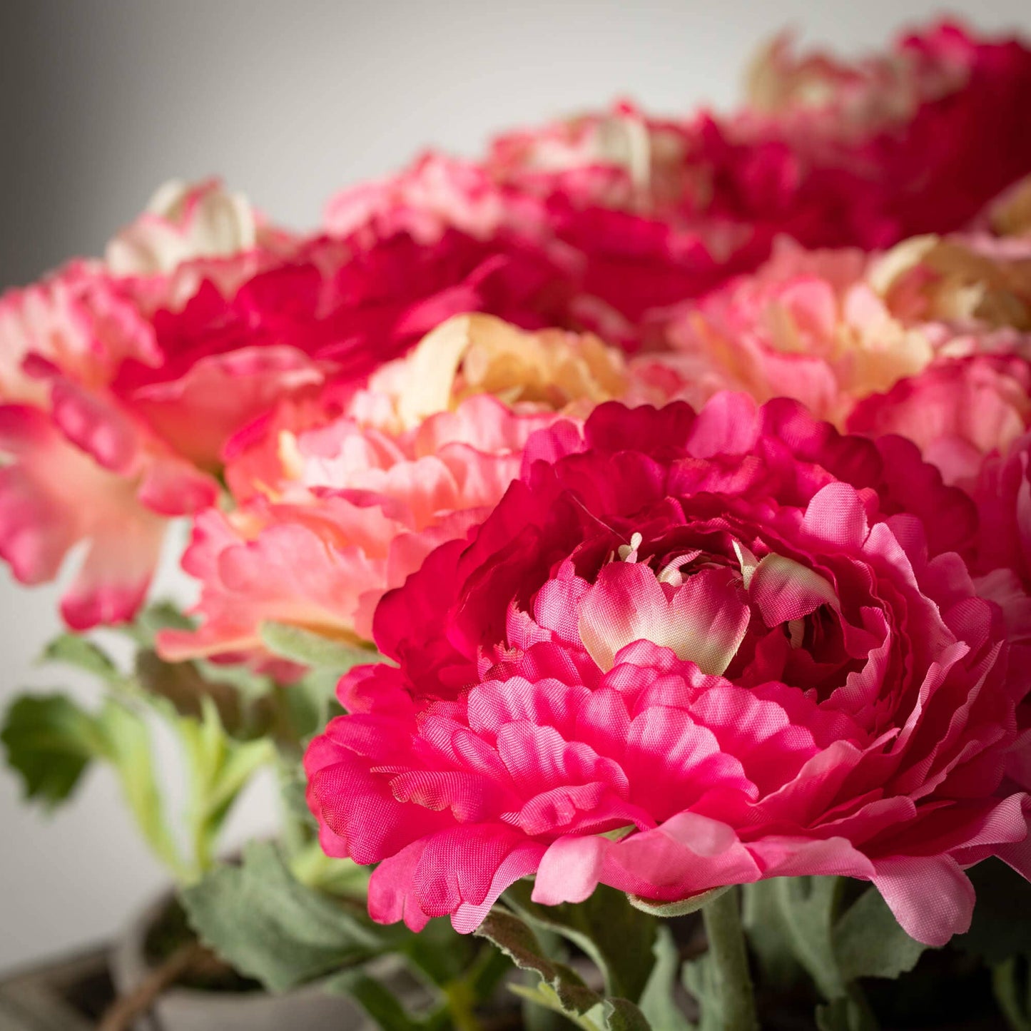 POTTED PEONY