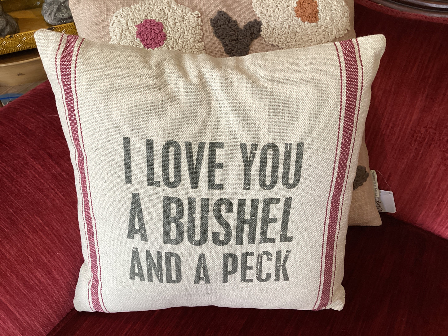 Bushel & a Peck Pillow