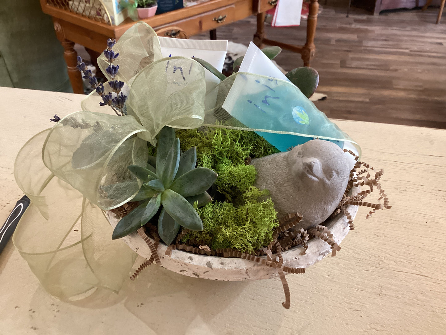 Little Birdie Bowl
