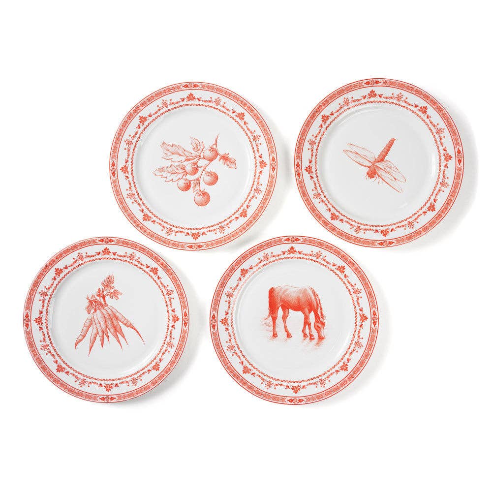 RED & WHITE FARM FRESH DINNER PLATES SET OF 4 WITH GIFTBOX