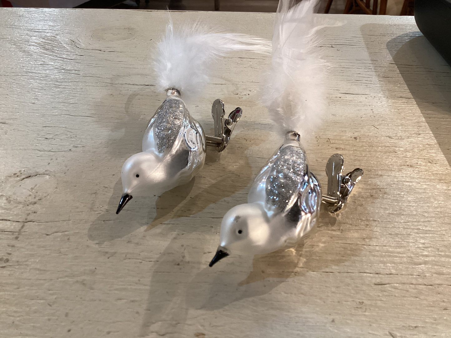 White Feather Bird