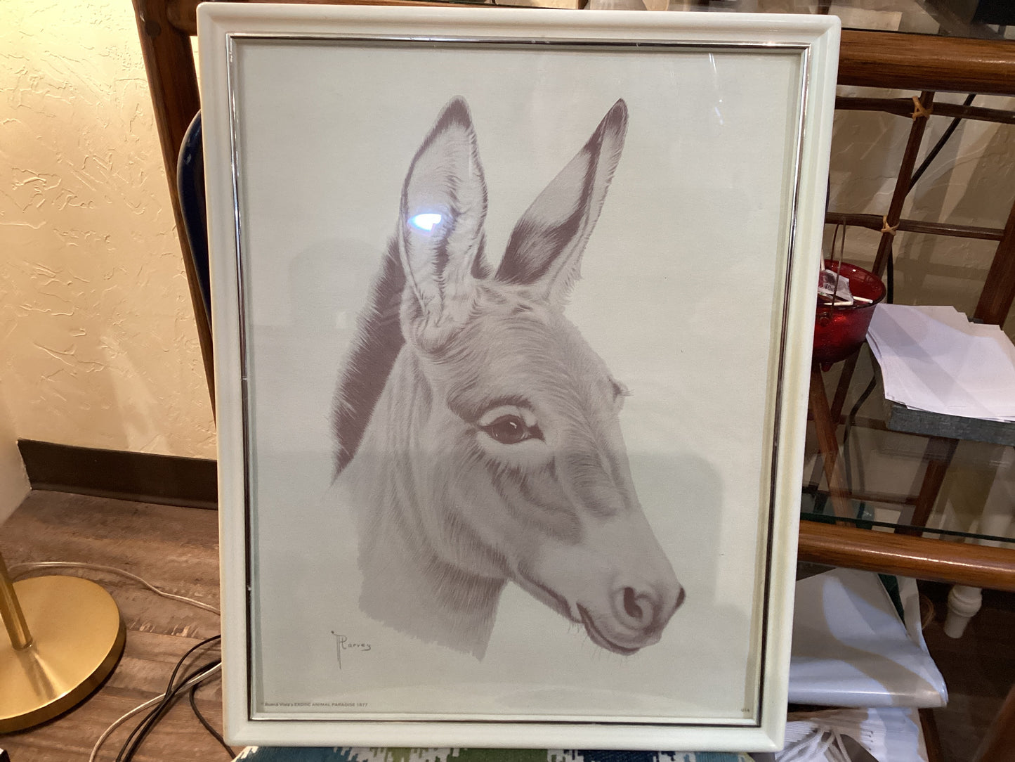 Donkey Print 1977