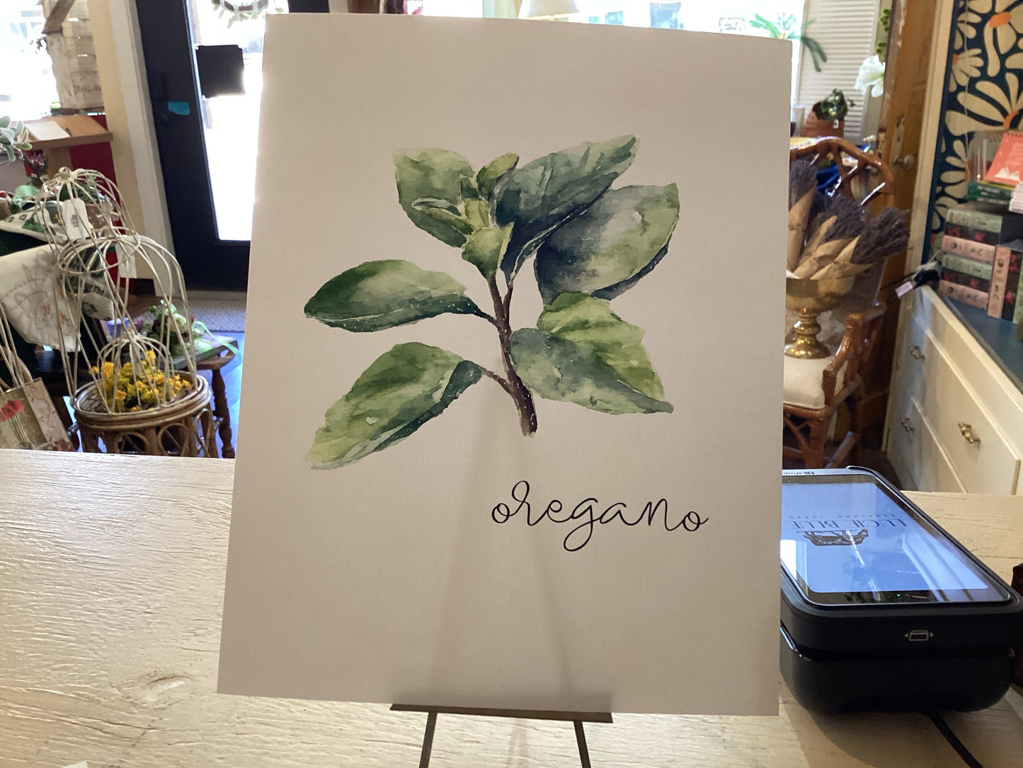 Oregano Watercolor Print