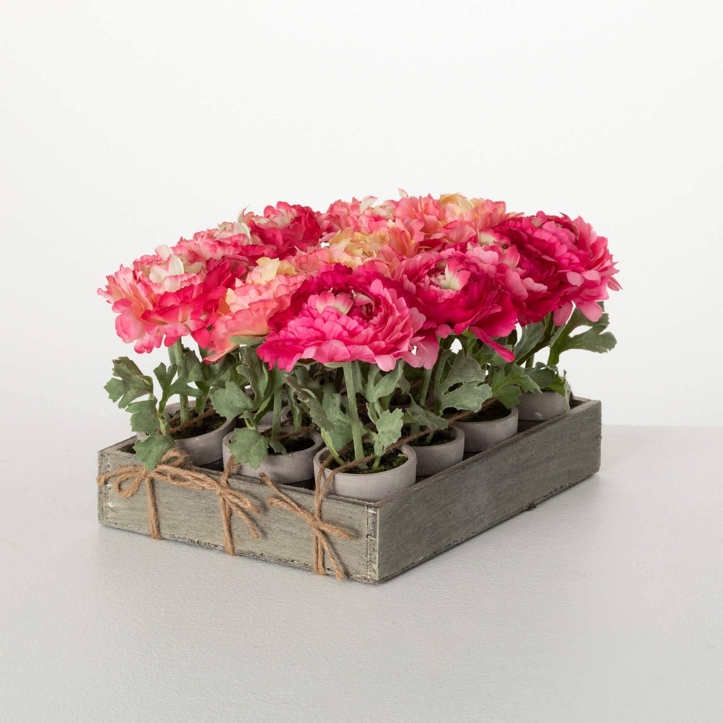 POTTED PEONY