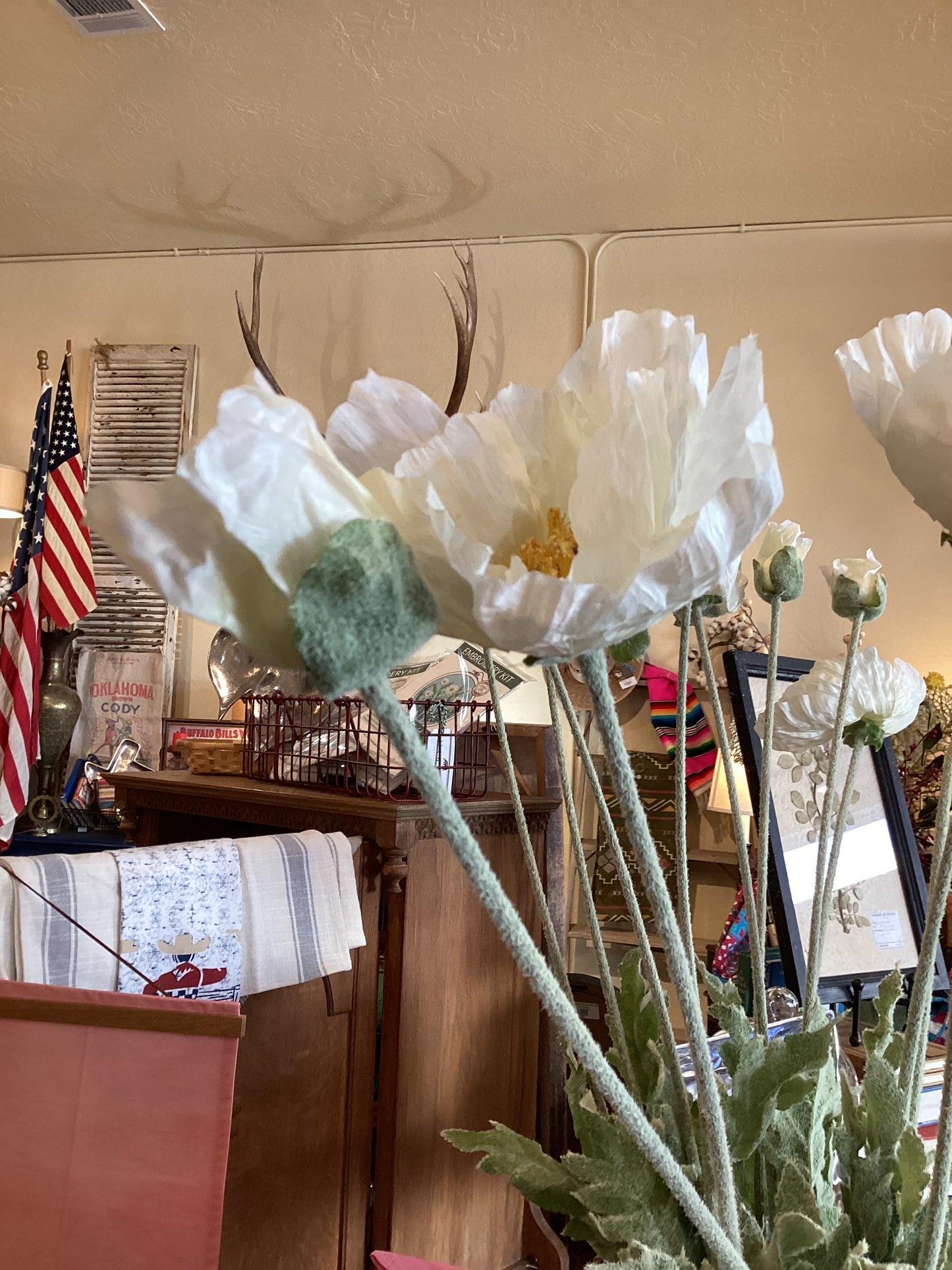 Two Stem Poppy White