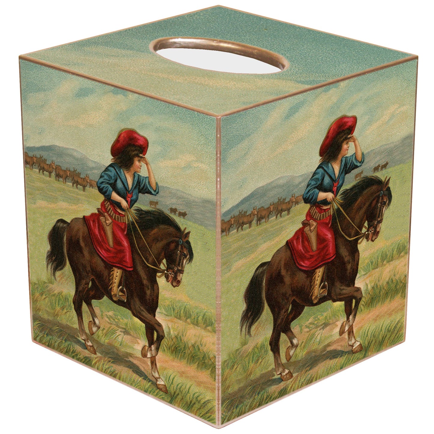 TB6658-Cowgirl Tissue Box: Paper Mache