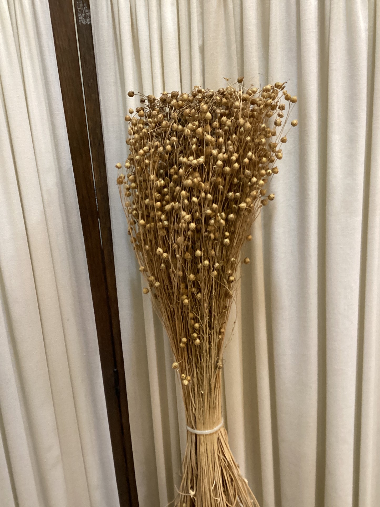 Natural Lino Stems