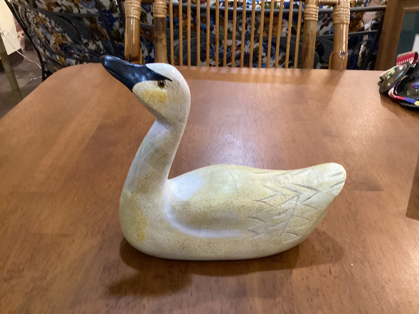 Wood Swan