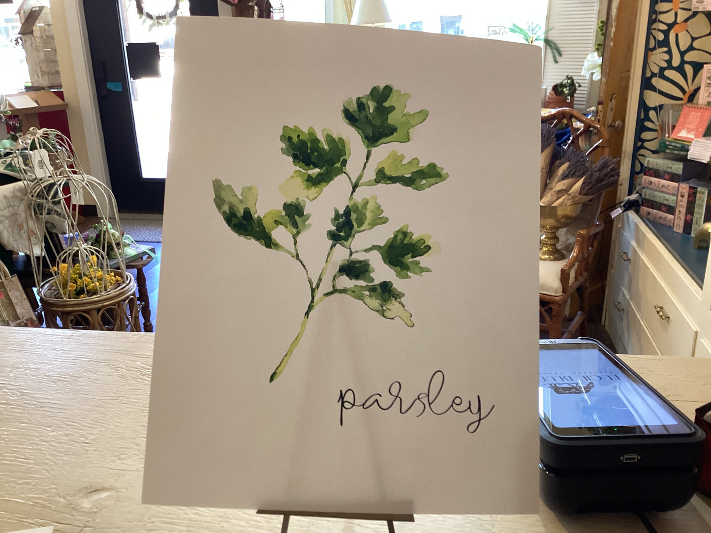 Parsley Watercolor Print