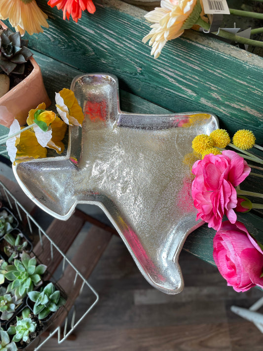Aluminum Texas State Tray