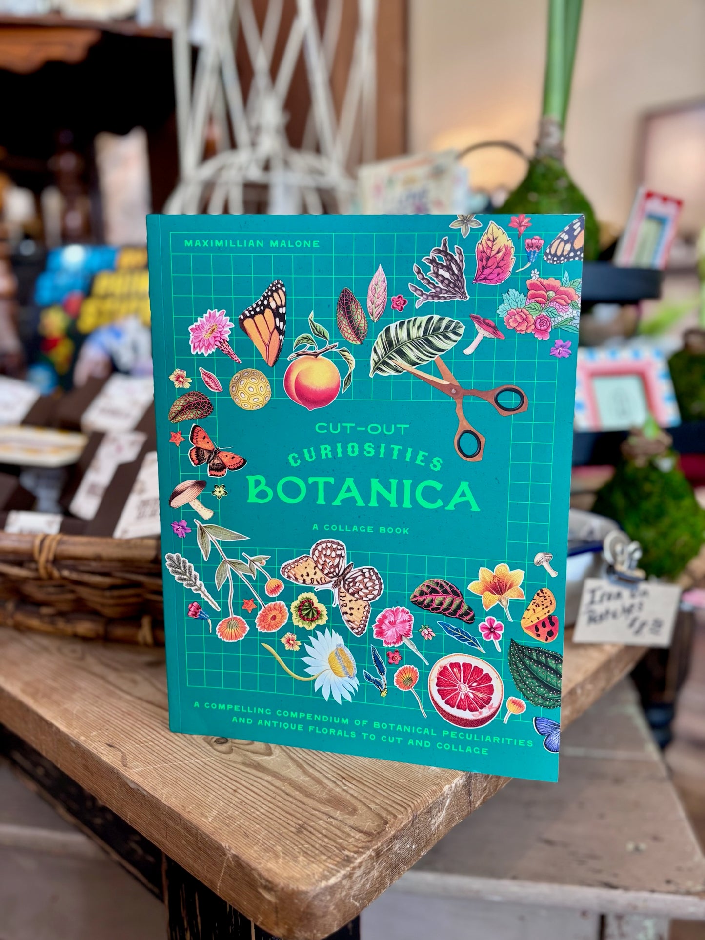 Cut-out Curiosities: Botanica