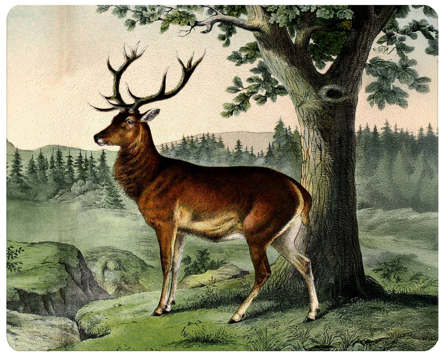GB6828-A Stag Deer Glass Cutting Board: Small Rectangular 8" by 11"