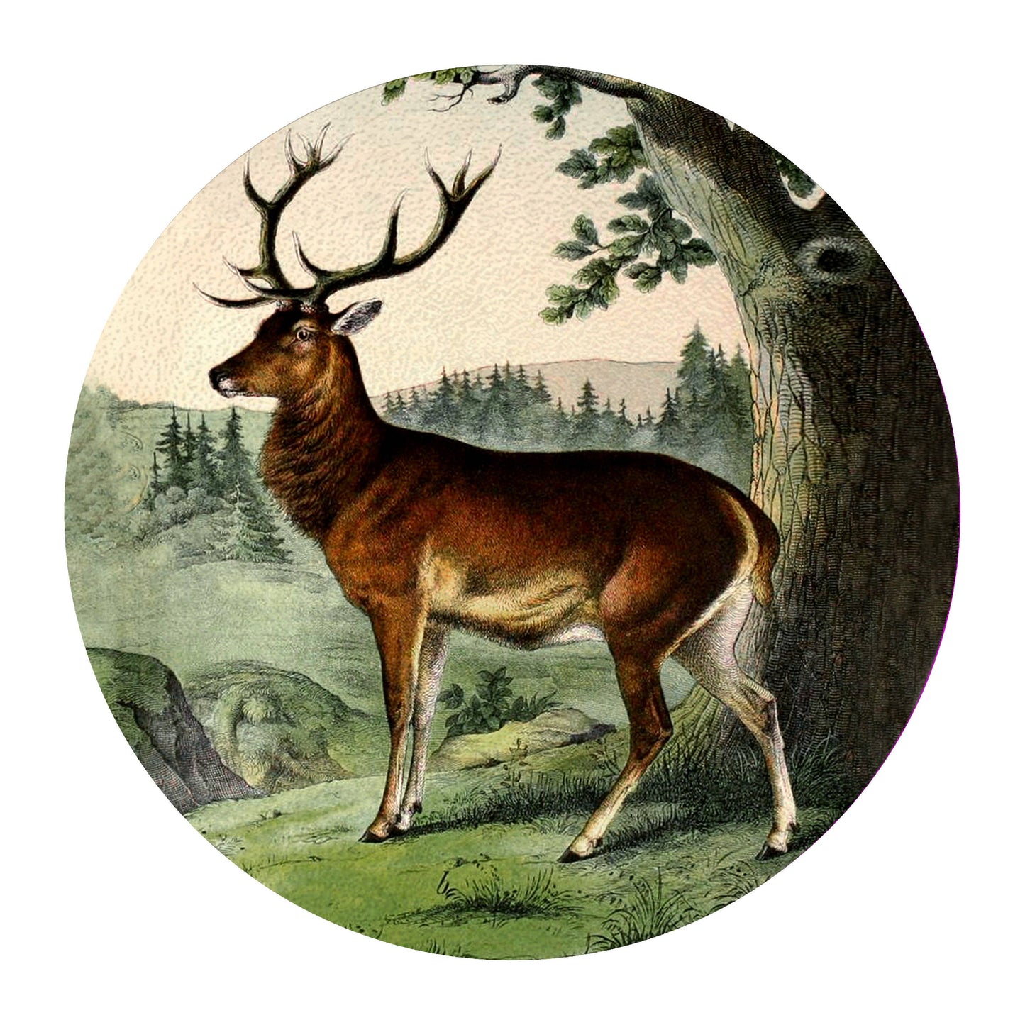 GB6828-A Stag Deer Glass Cutting Board: Small Rectangular 8" by 11"